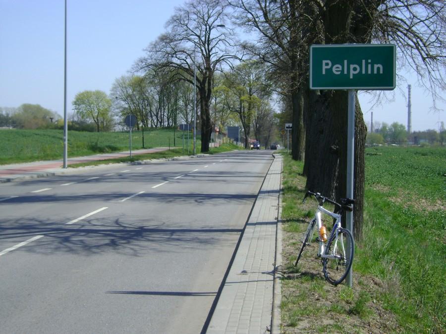 W Pelplinie