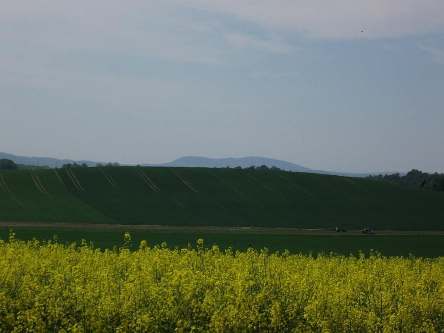 Z widoczkiem na Cergową.