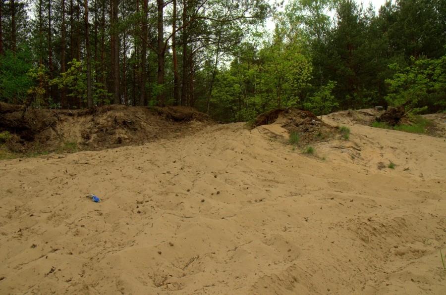 Fragment żóltego szlaku w pobliżu błędowa