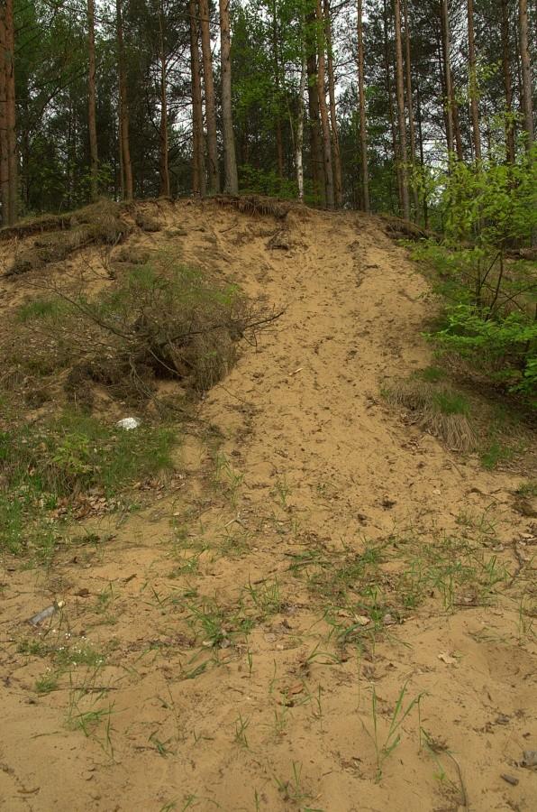 żółty szlak