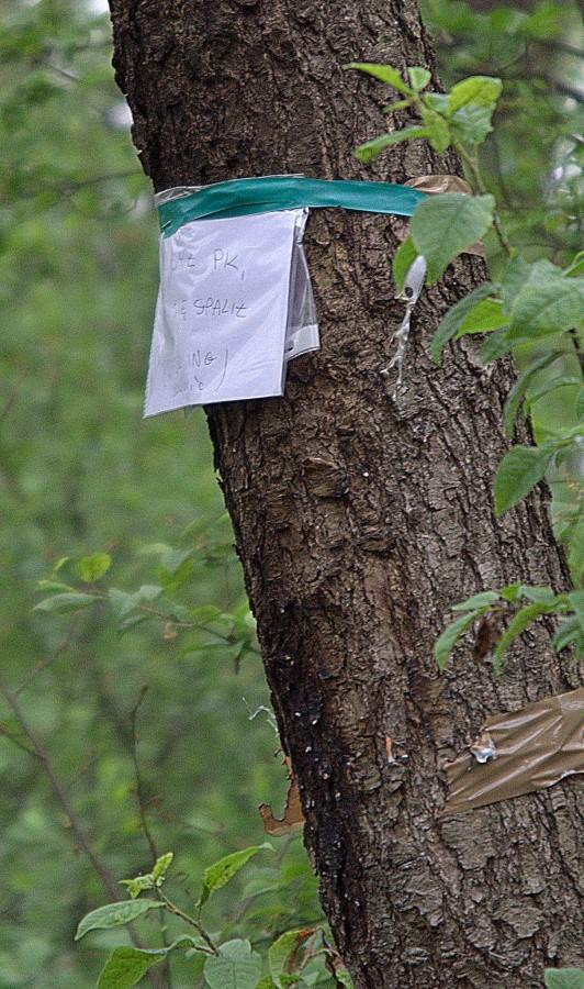 Był PK ale aię palił :)