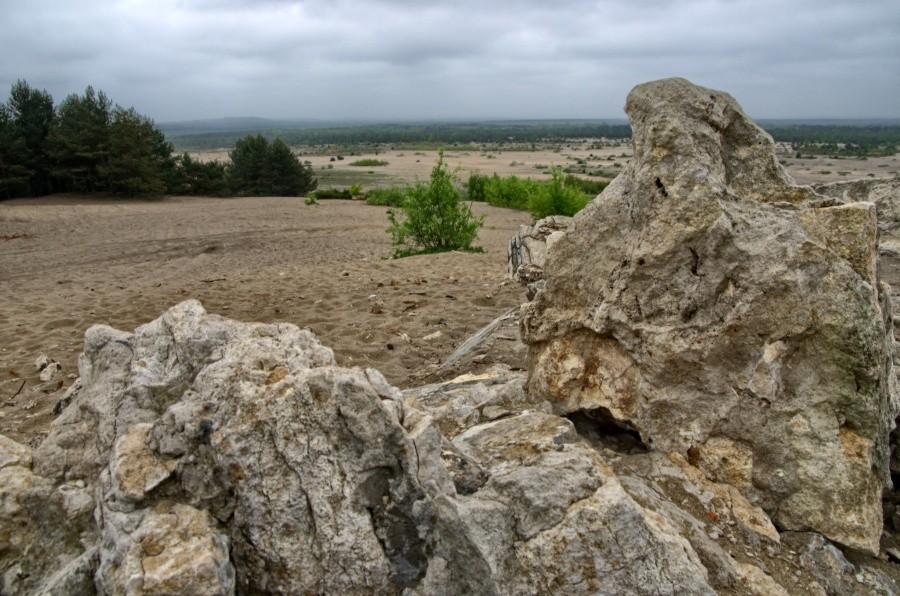 ruiny na pustyni błędowskiej