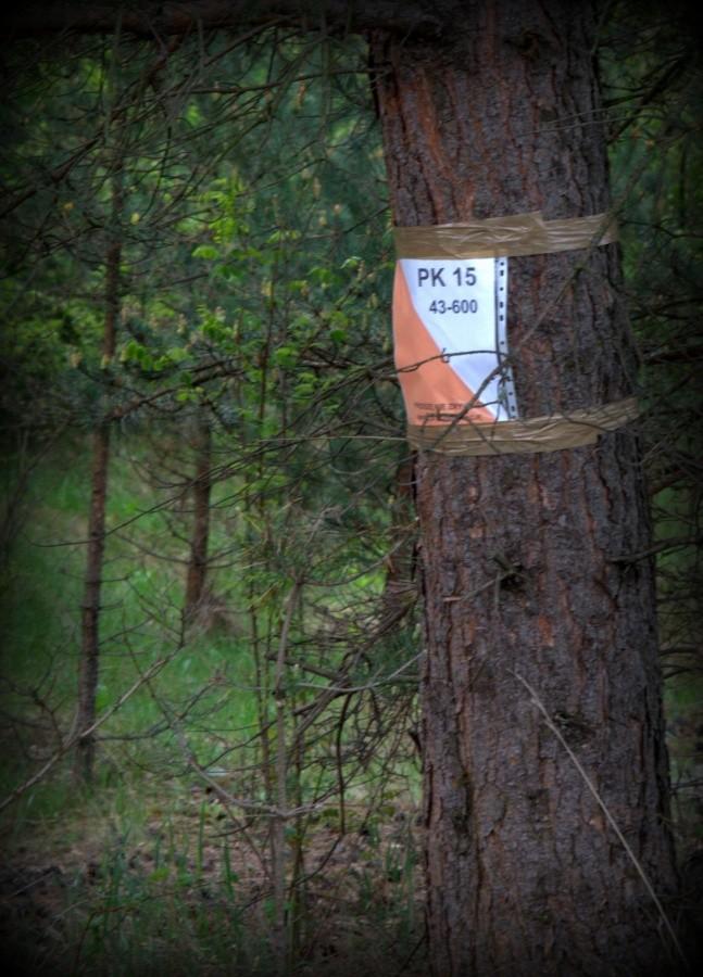 Punkt kontrolny 15 Kapliczka