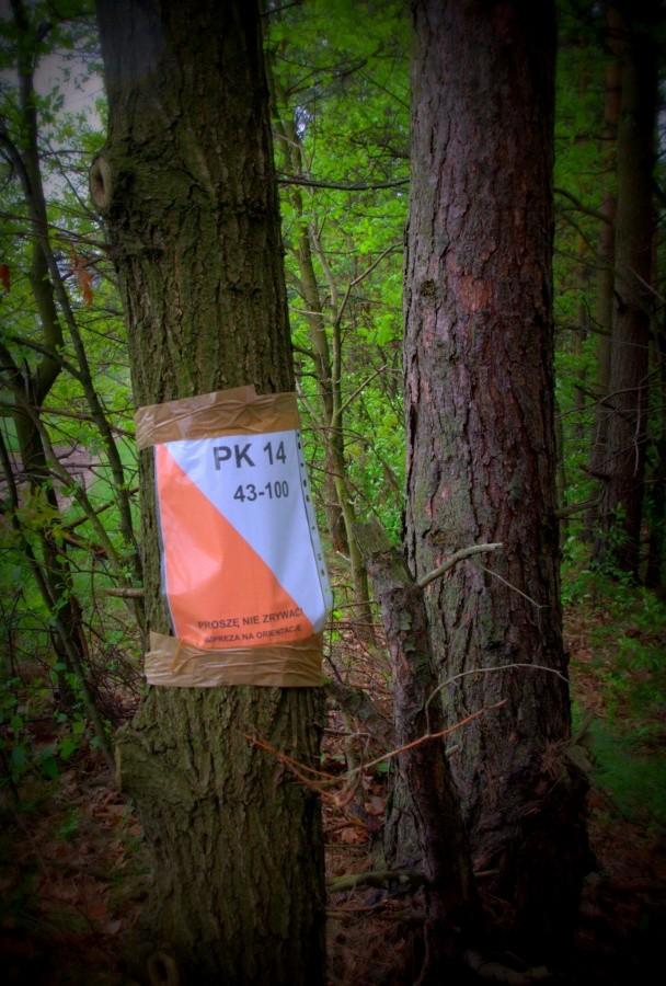 Punkt Kontrolny 14 - Rozstaje dróg - tablica informacyjna przystanku