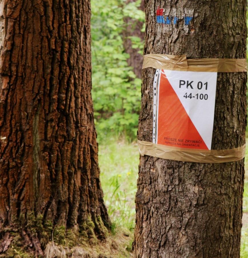 Punkt kontrolny 1