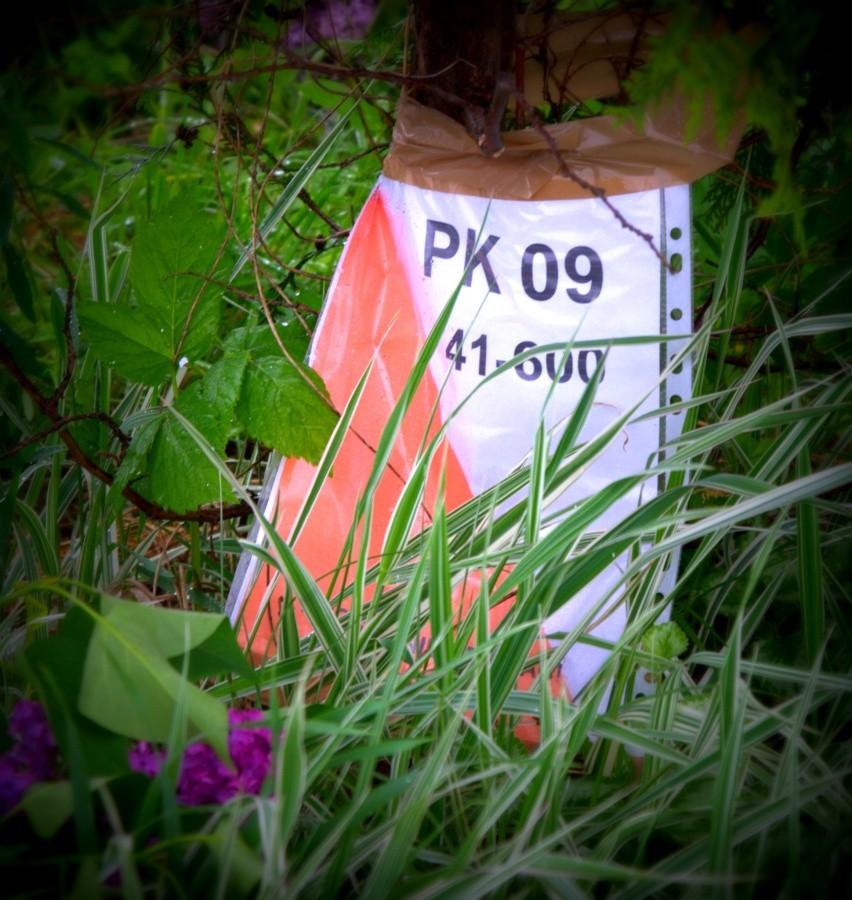 Punkt kontrolny 9 - Krzyż