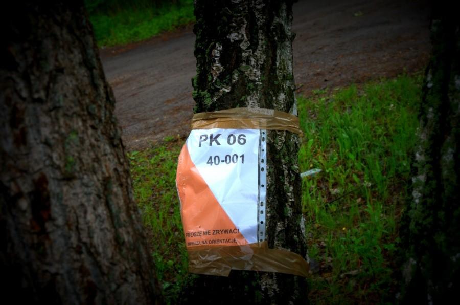 Punkt kontrolny 6 - Drzewo na środku ronda