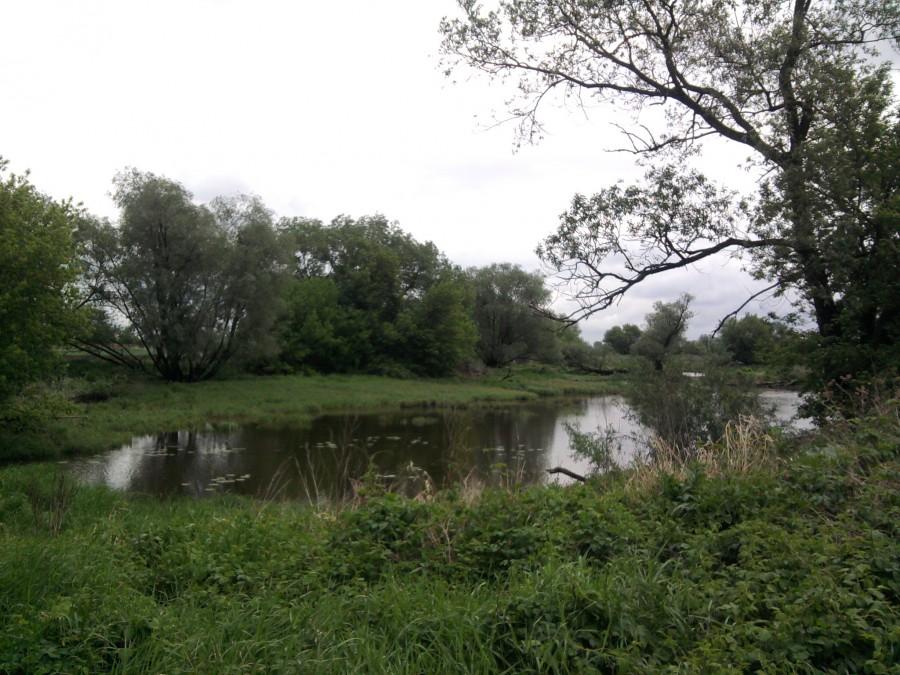 Łąki nadwiślańskie