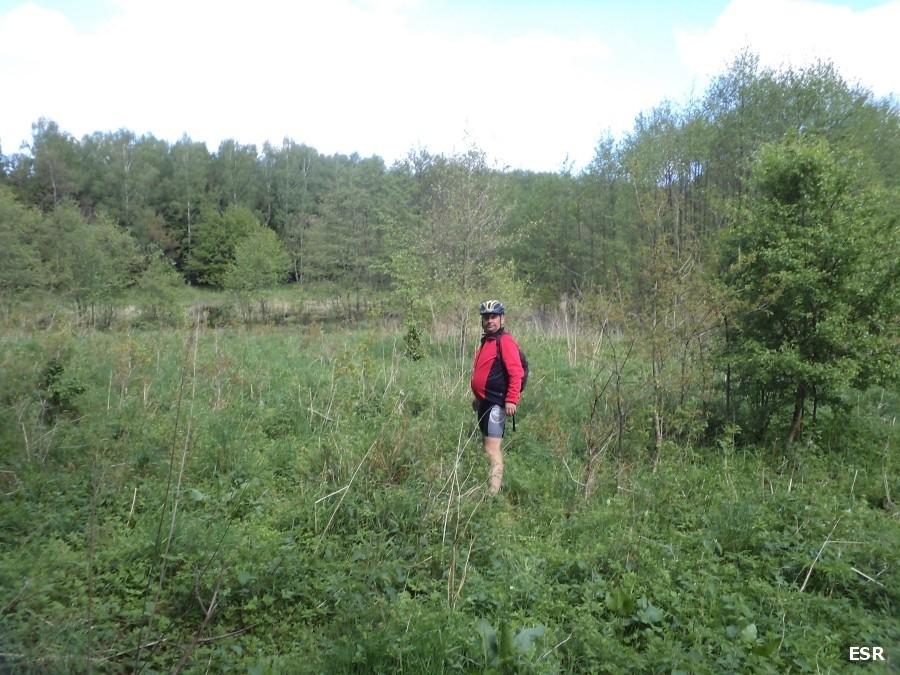 Darecki opodal Harpaganowej 8