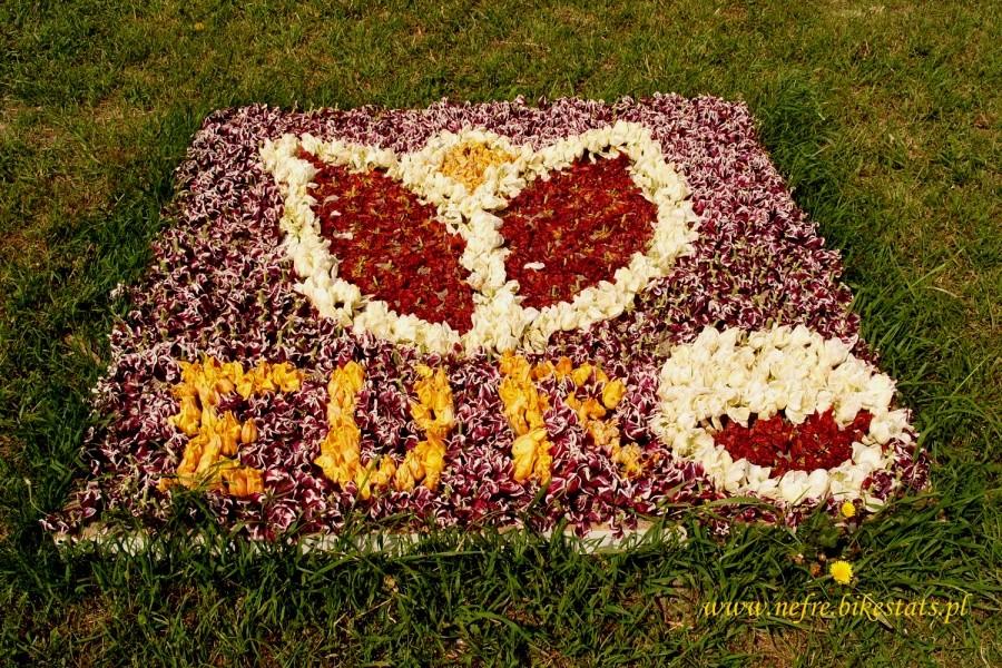 Tulipanowy dywanik na Euro 2012