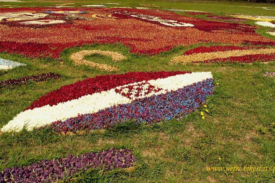 Flagi państw ułożone z tulipanów