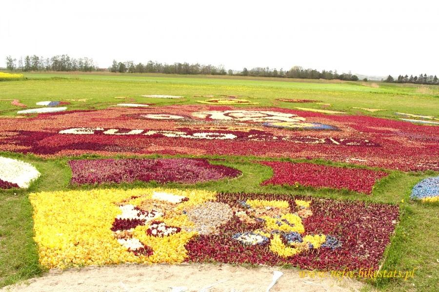 Logo Euro 2012 ułożone z tulipanów