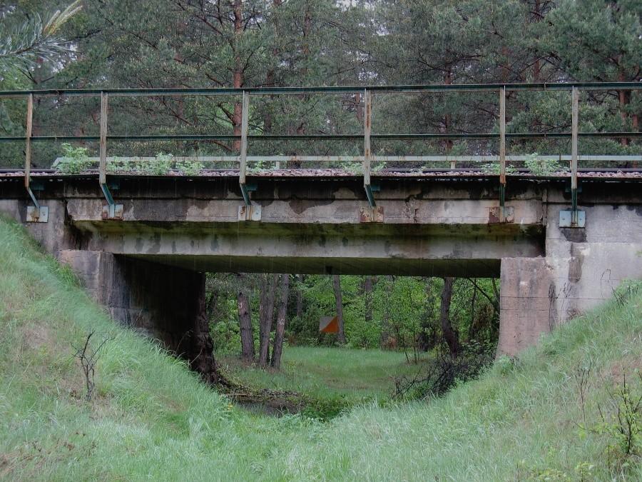 DyMnO 2012, PK 9