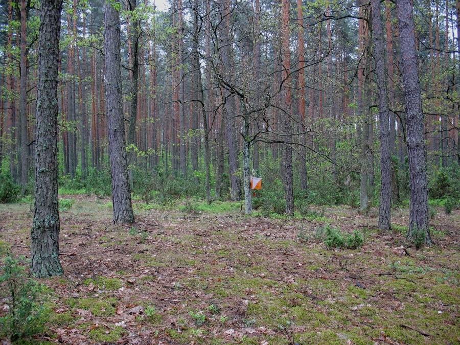 DyMnO 2012, PK 7