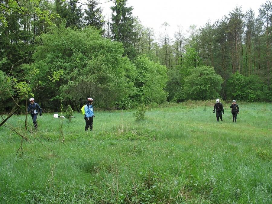 DyMnO 2012, PK 26