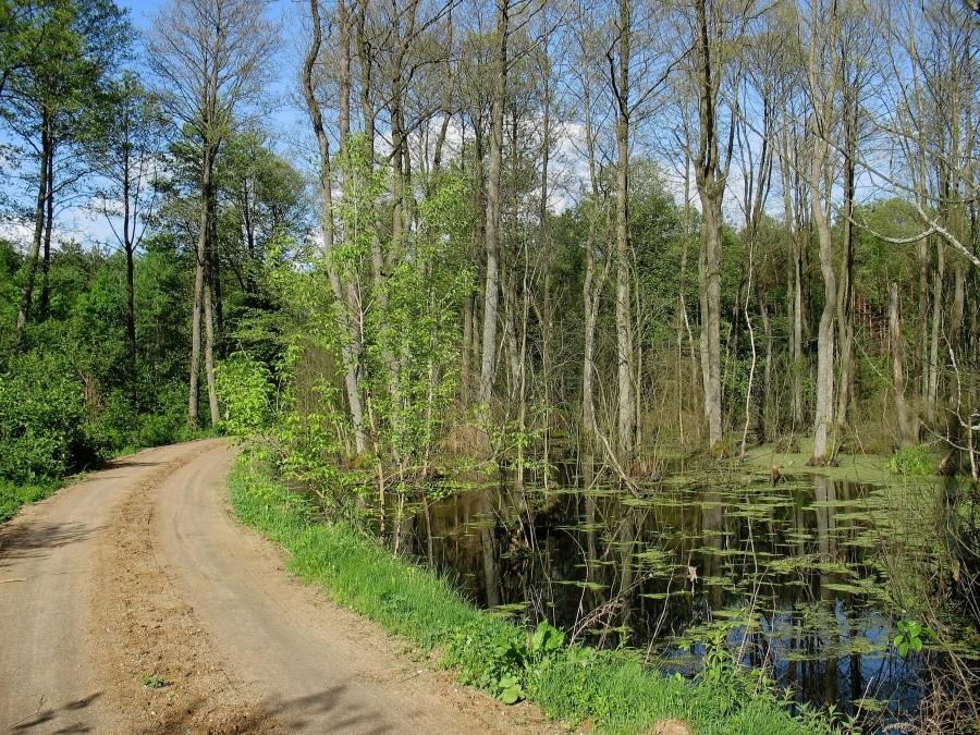 DyMnO 2012, w pobliżu PK 32