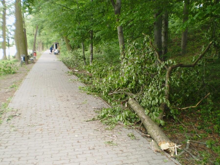Skutki sobotniej burzy nad Jeziorem Swarzędzkim