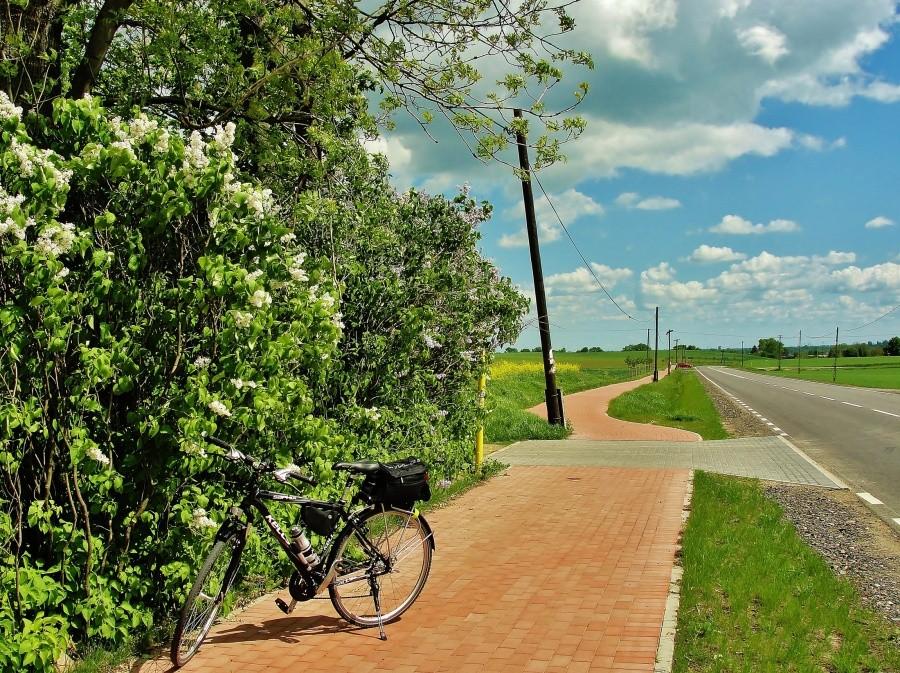 Kellys na ścieżce rowerowej.