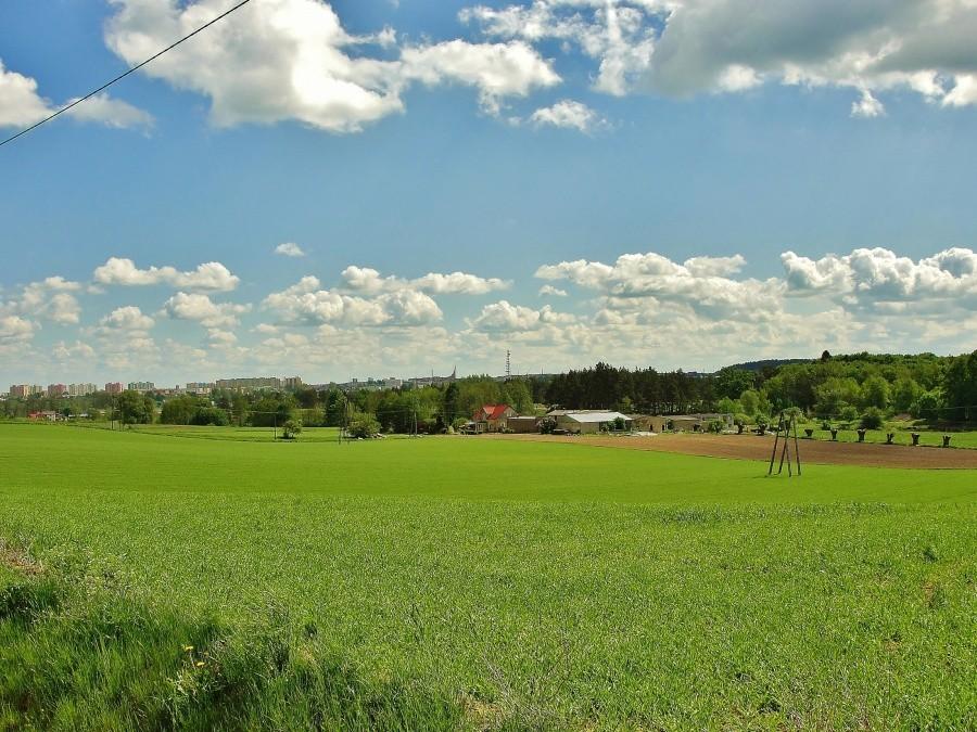 Wiosenny krajobraz.