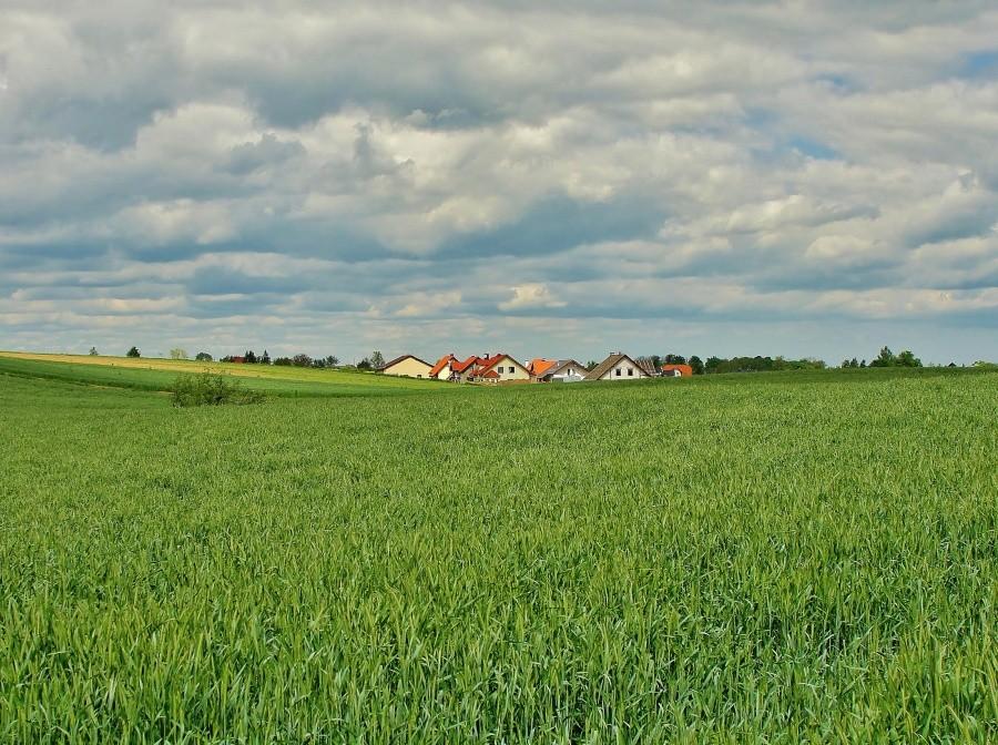 Wiosenny krajobraz.