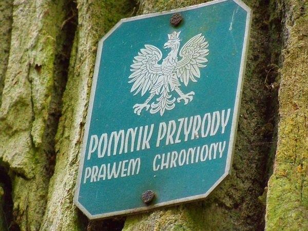 Pomnik przyrody