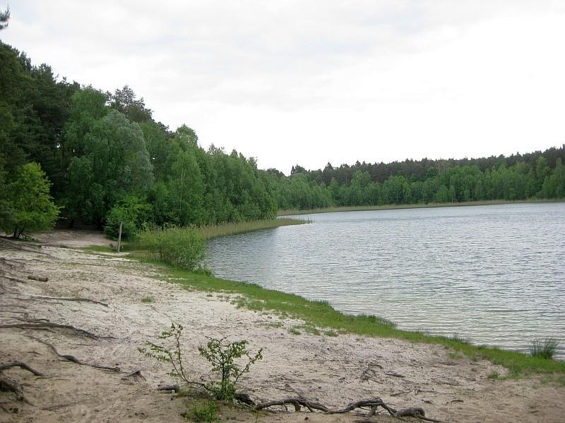Jezioro Miejskie w Okońcu