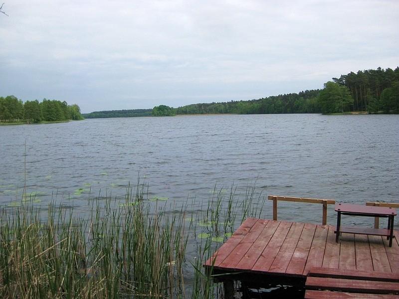 Jezioro Stęszewskie
