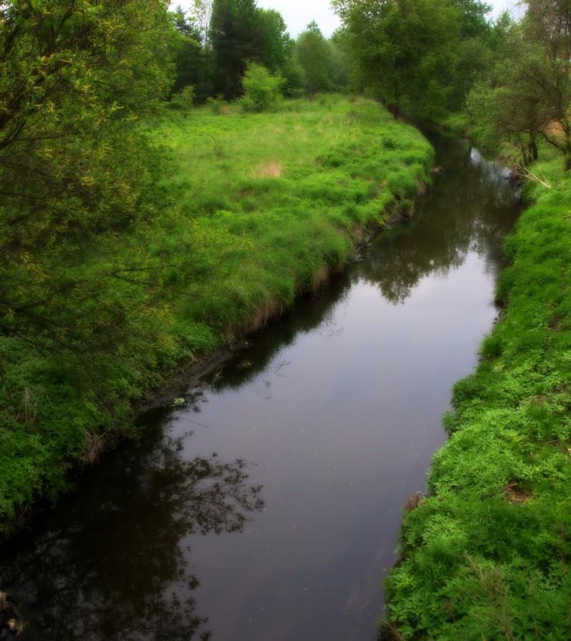 Królowa Śląskich rzek