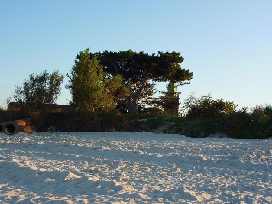 Plaża, wydmy... polski sierpień