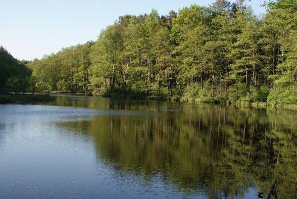 przejeżdżam przez mostek, w kierunku Punktu Kontrolnego 14