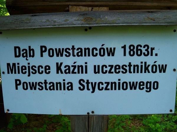 Dąb Powstańców