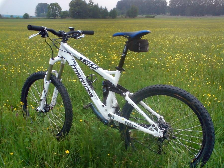 Łąka w Lędzinach za Klimontem