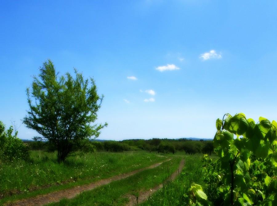 Jura Krakowsko-Częstochowska