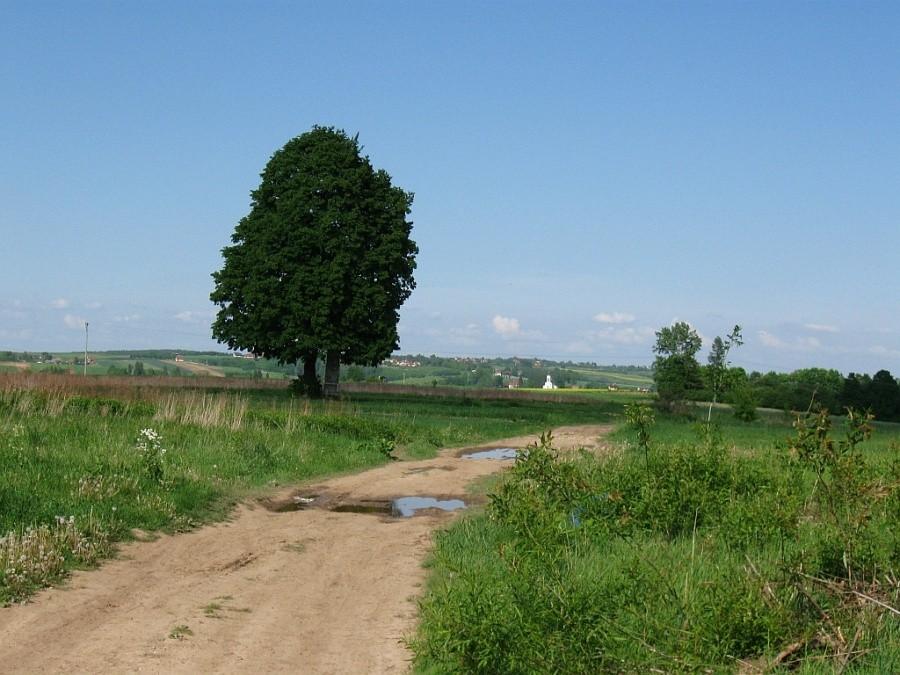 Na czerwonym szlaku.