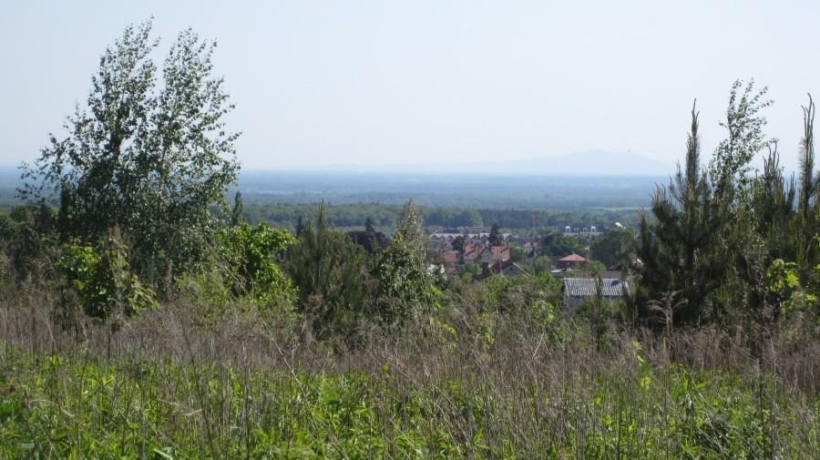 Góra Holtei’a - widok