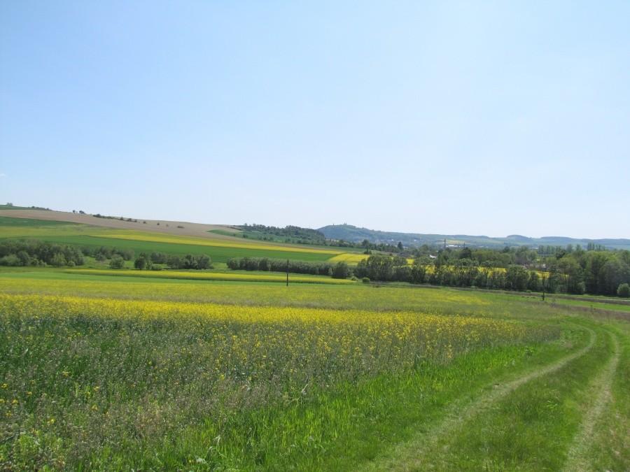 Widok na Czechy z wzgórza w Chróstnie