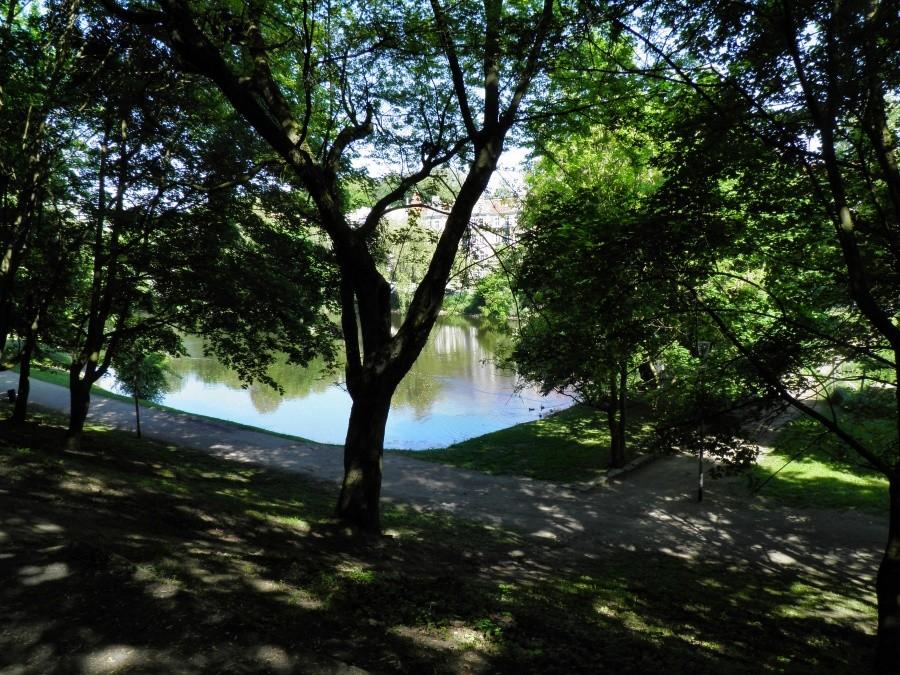 Na skraju parku Kasprowicza - jezioro Rusalka o poranku.