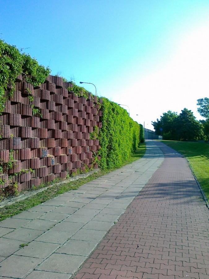 Po drugiej stronie trasy