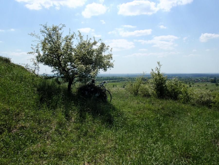 Parchowatka