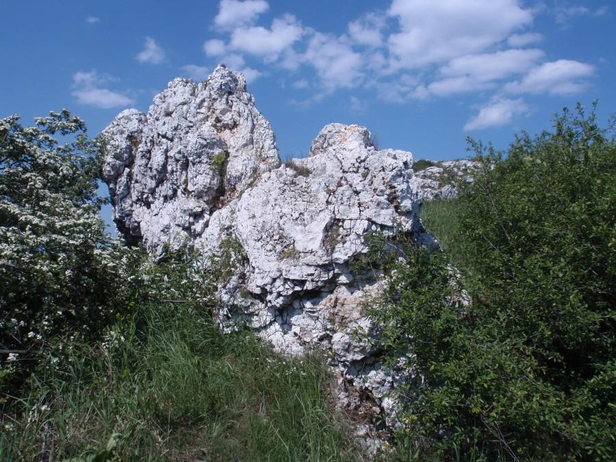 Skałka na Parchowatce