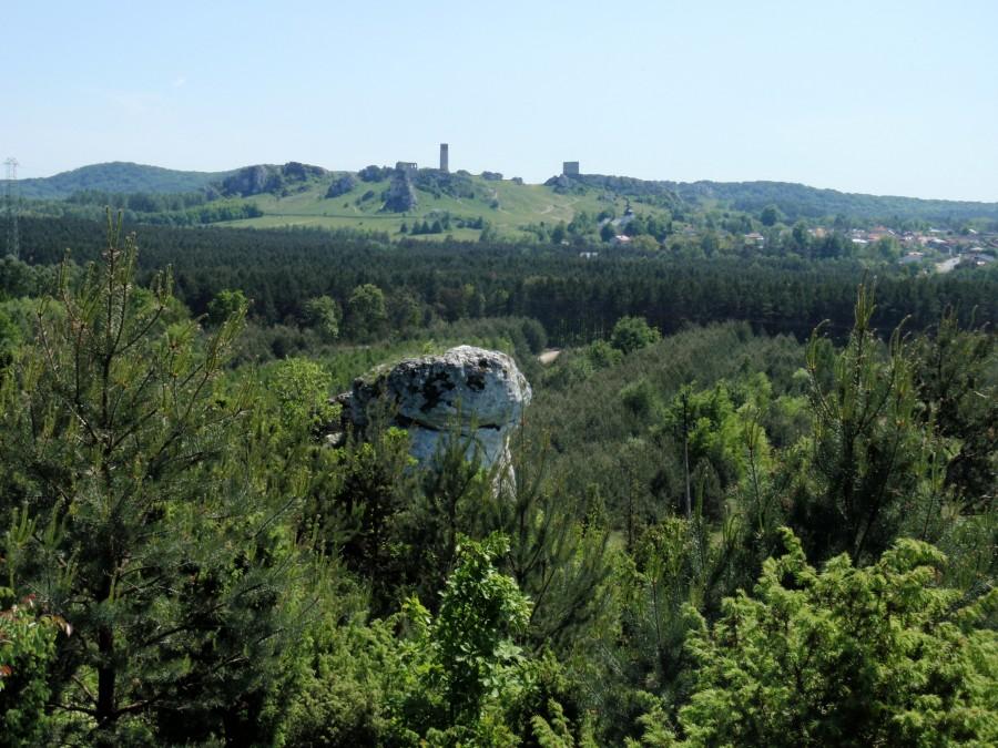 Kierunek Olsztyn