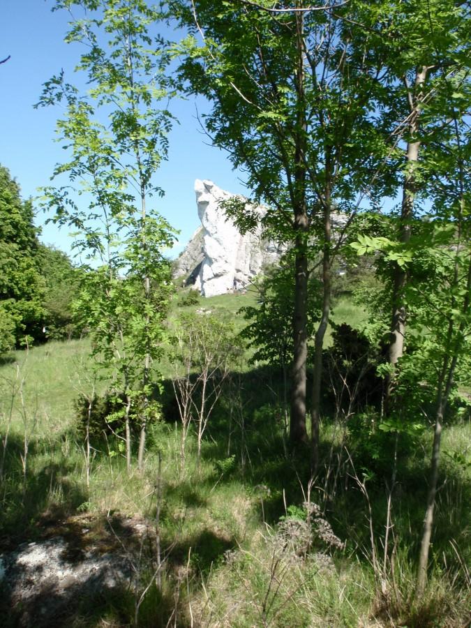 Podcięta Turnia