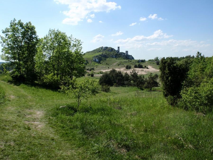 Zamek w Olsztynie po raz kolejny