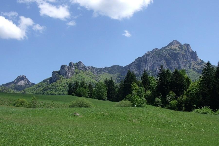 Widoczek