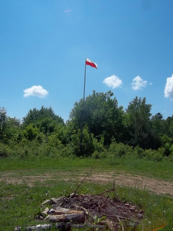 Strzałówka
