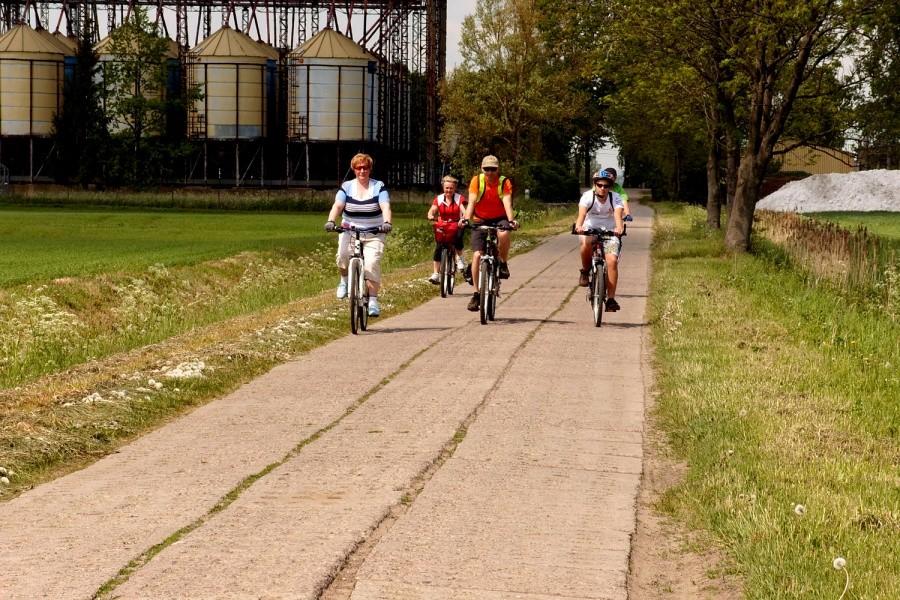 Jedziemy polną drogą