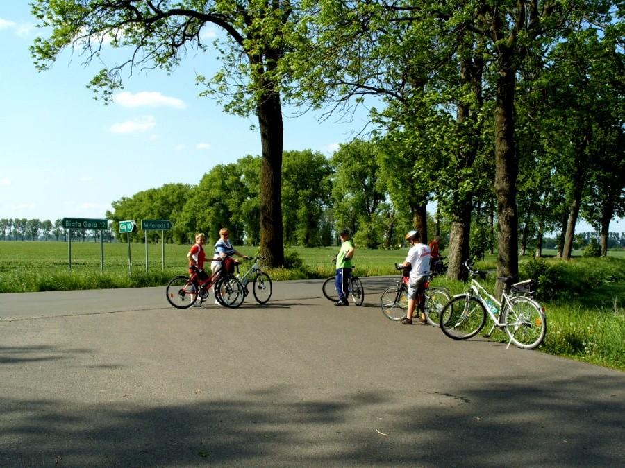Gdzieś na rozdrożu….