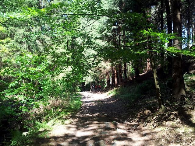 Trasa maratonu MTB Polanica Zdrój