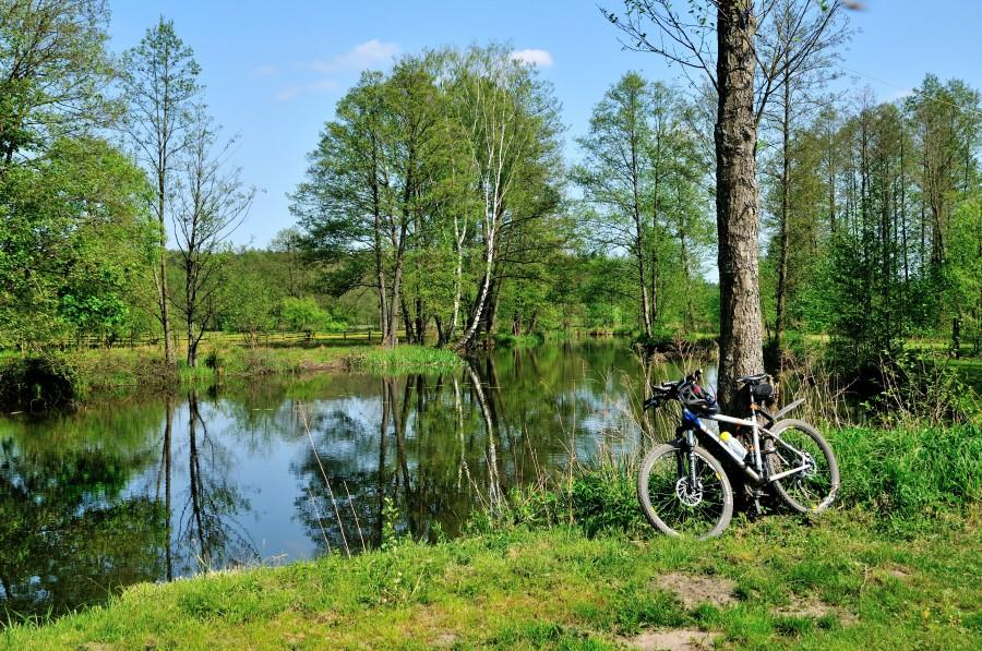 Tranquill nad Zbrzycą