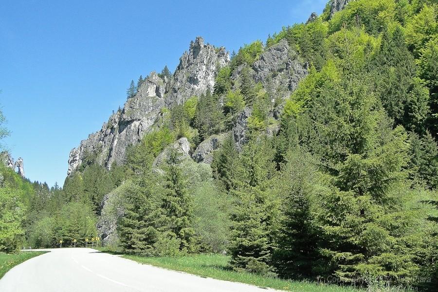 druga fotka